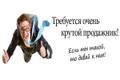 Нужны сотрудники